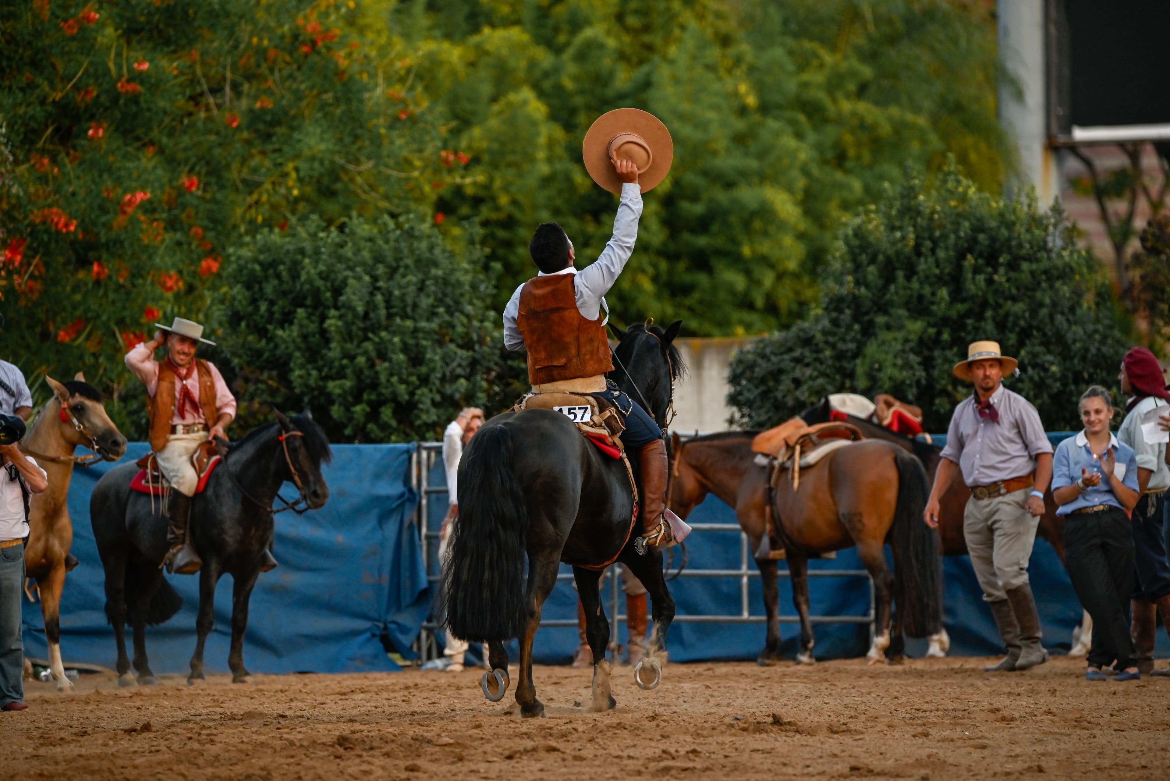 Nuestros Caballos: Una...