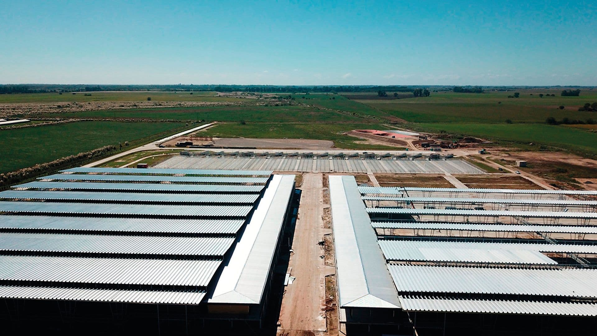 Mercado de hacienda: Más de un siglo de vida entre gauchos y matarifes