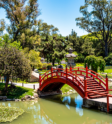 Jardin Japonés: Un oas...