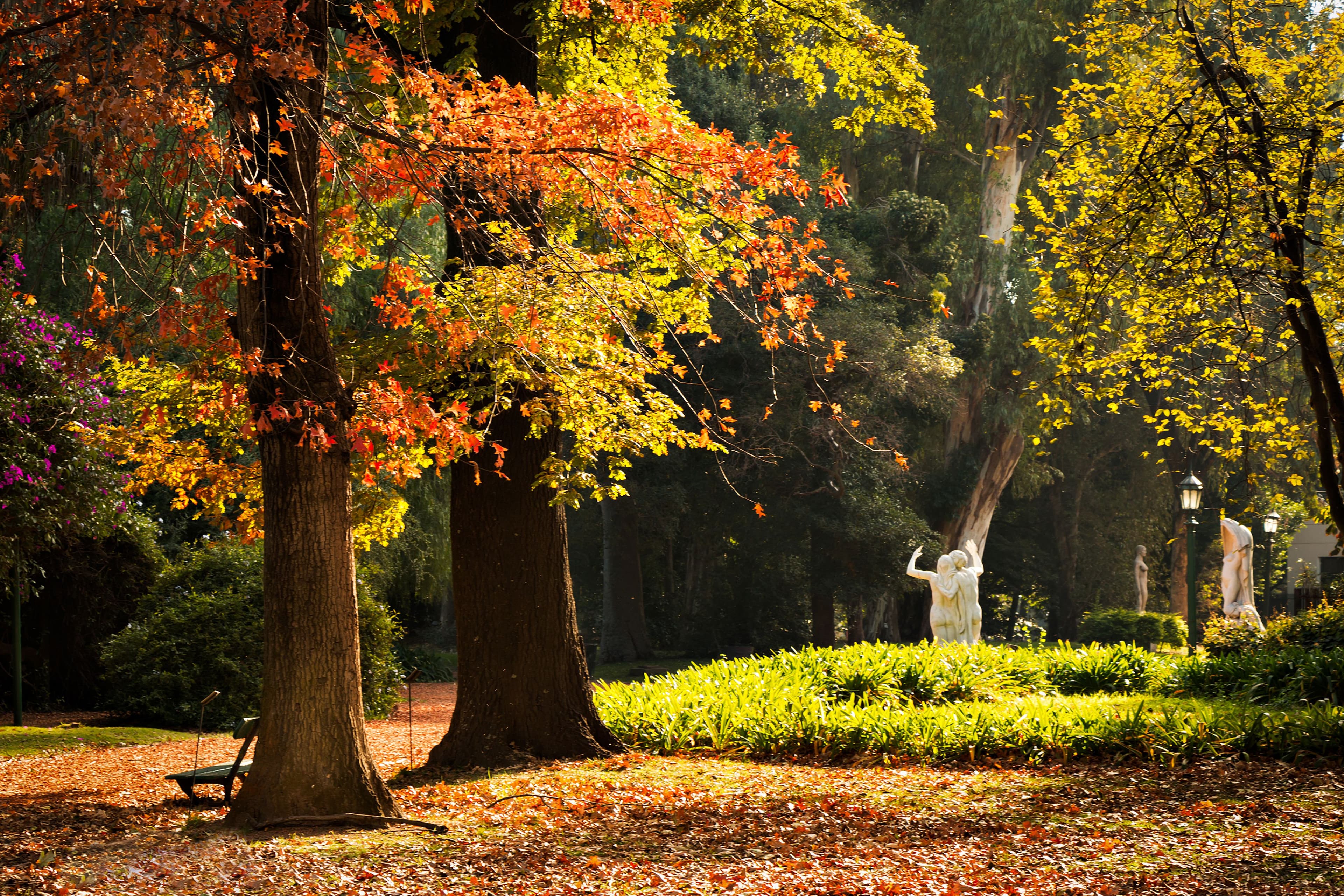 El jardín botánico: La...