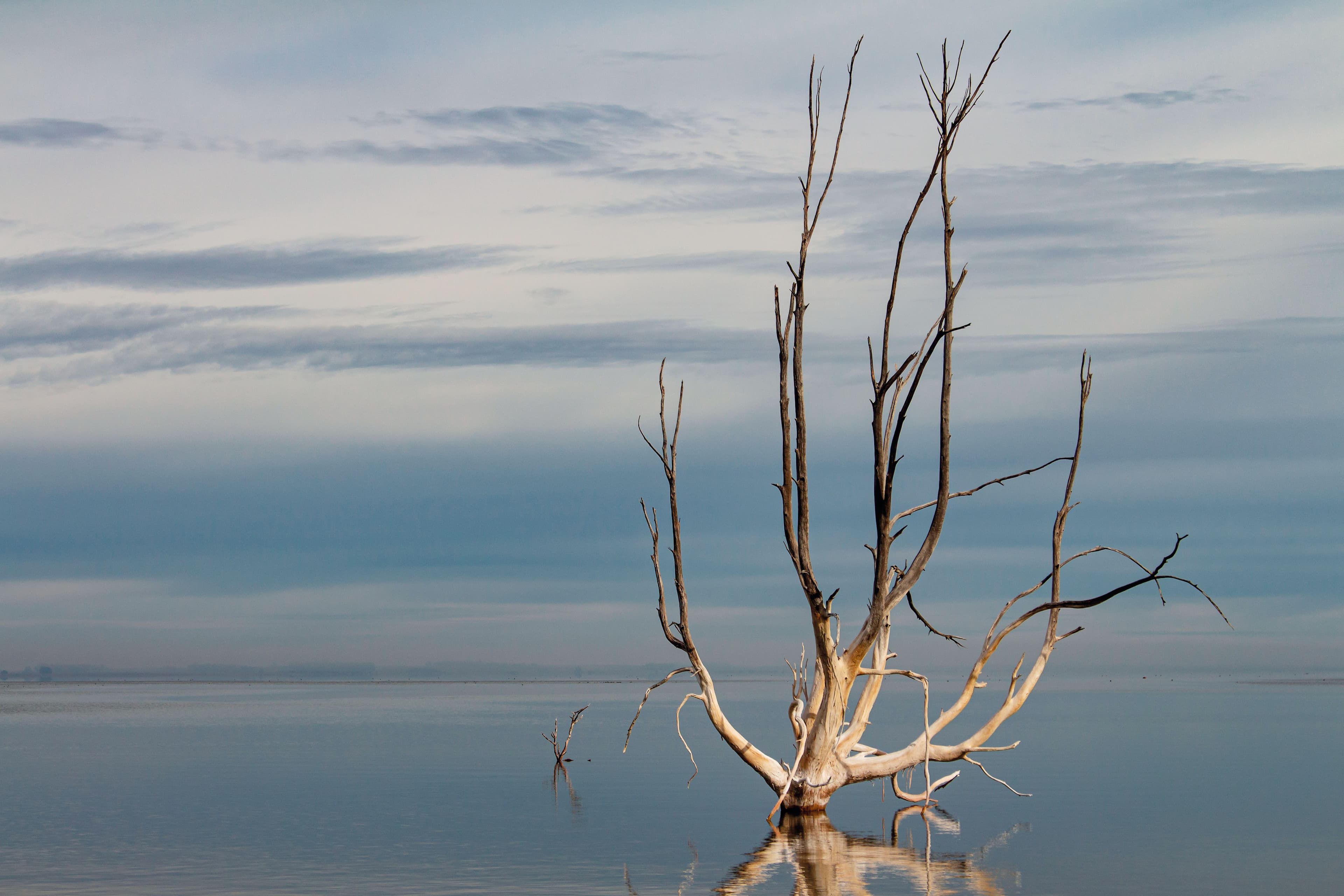 Villa Epecuén: Entre e...