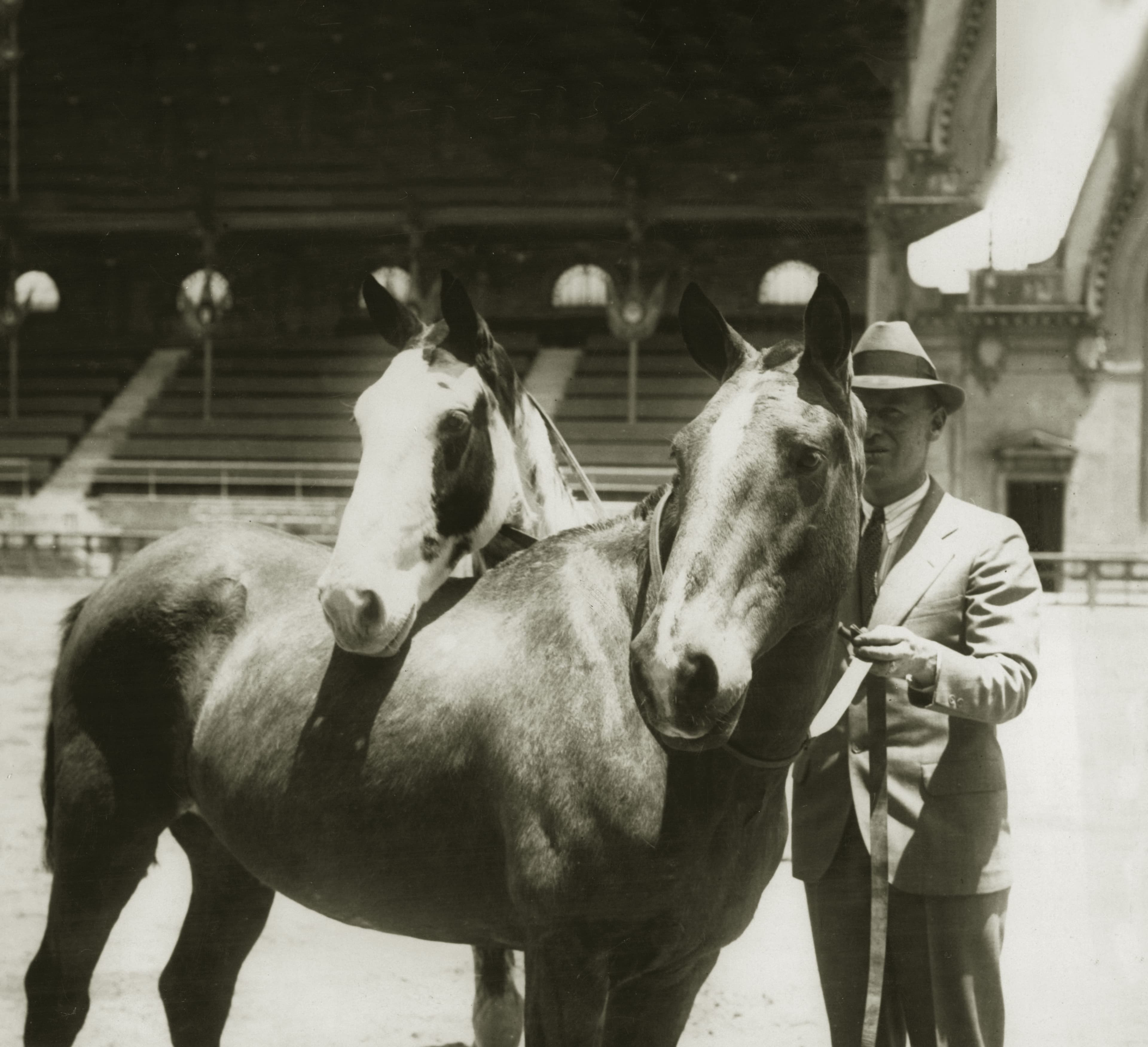 La historia de Gato y ...